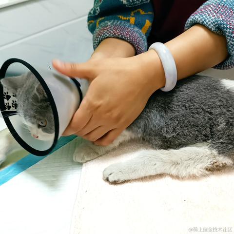 吕氏春秋于2022-01-14 19:54发布的图片