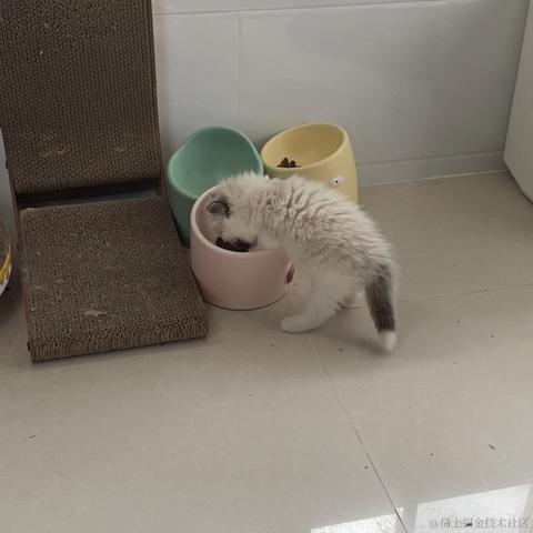 霍奇的猜想于2023-05-13 22:47发布的图片