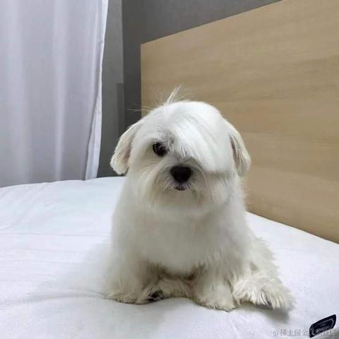 BooBoo于2021-12-23 19:17发布的图片