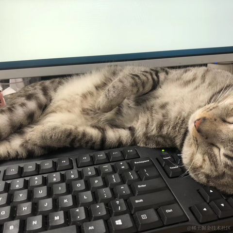 呵呵1于2022-03-03 09:18发布的图片