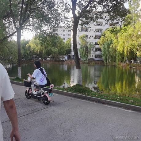 wjh2于2023-06-28 20:02发布的图片