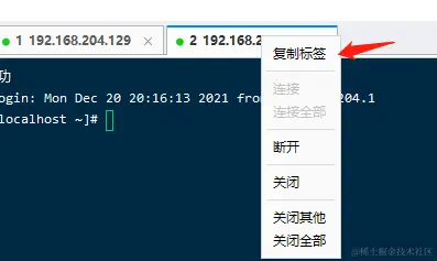 image-20211220204453335