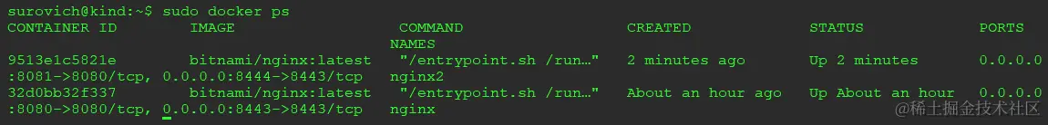 图 3.24 – 显示运行中的两个 NGINX 服务器的 docker ps