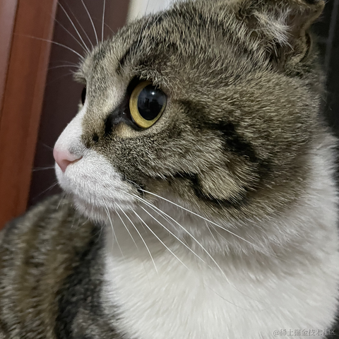 Daenery于2021-11-27 09:06发布的图片