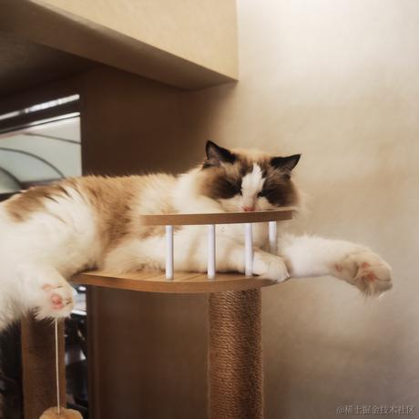 Firmament于2022-12-03 21:33发布的图片