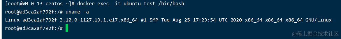 image-20210106121217914