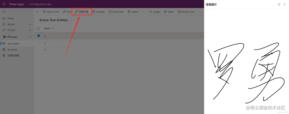 定制列表界面打开记录的行为以便执行自定义操作的示例_Power Apps_04
