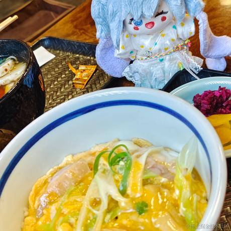 AS一个魂于2023-06-30 09:26发布的图片