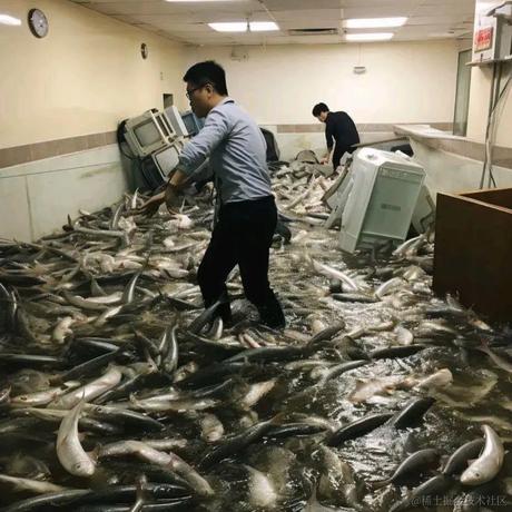 累了累了于2023-08-02 12:24发布的图片