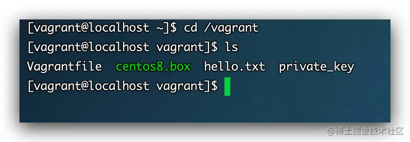 image-20210117220533949