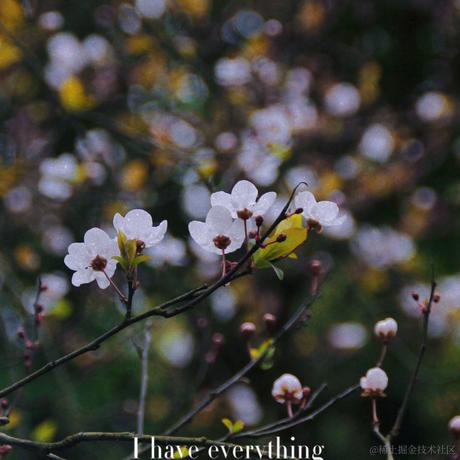 momo100于2024-03-11 09:32发布的图片