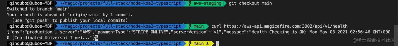 curl-check-api-server