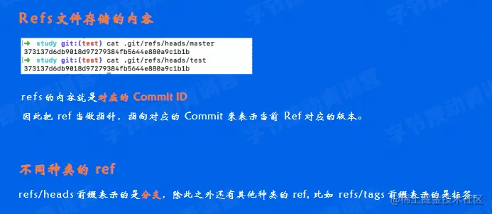 image-20220525195641982