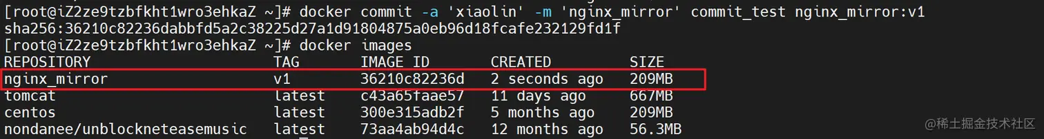 image-20210525192146437