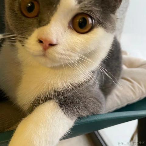 Livingbody于2021-10-27 19:22发布的图片