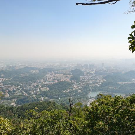 义演鼎争于2022-11-23 08:07发布的图片