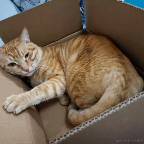 蒂娜今天吃什么于2022-11-26 00:20发布的图片