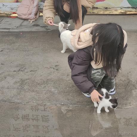 我在等乃宝晚安于2022-12-03 07:04发布的图片