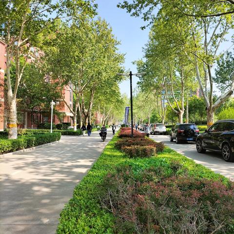 是小高同学呀于2023-04-26 09:24发布的图片