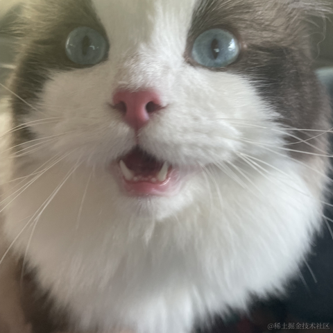 端盘花生米于2022-05-27 12:32发布的图片