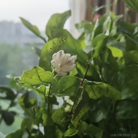 牛肉烧板黎于2022-06-02 09:07发布的图片