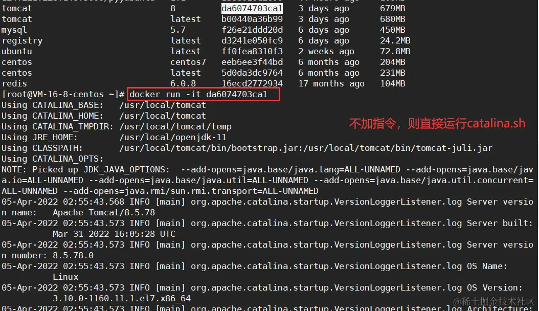 image-20220405105643278