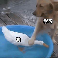 掘金米克于2021-01-25 09:13发布的图片