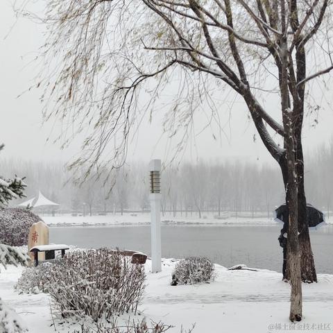 Dianazusa于2022-11-17 08:11发布的图片