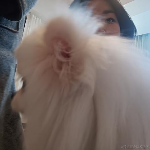 张2公子于2023-03-19 22:28发布的图片