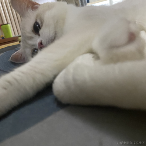 打瞌睡的专家于2022-06-14 10:12发布的图片