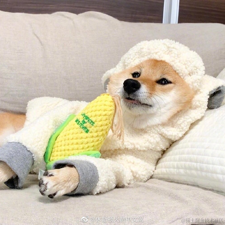 爱写Bug的麦洛于2020-08-28 07:12发布的图片