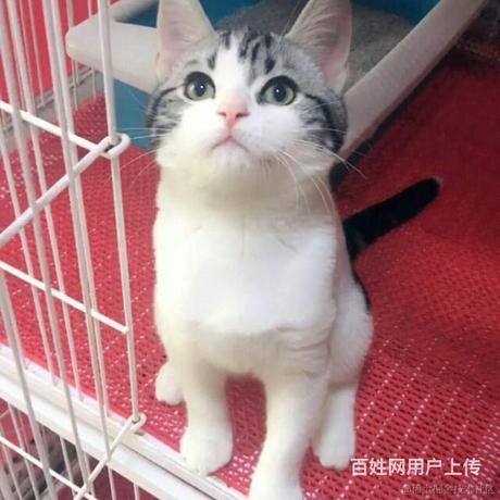 卖代码的小姑娘于2021-08-06 17:24发布的图片