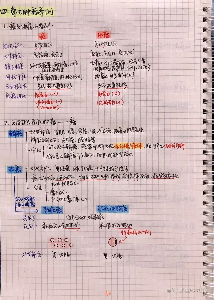 病理手写笔记.pdf