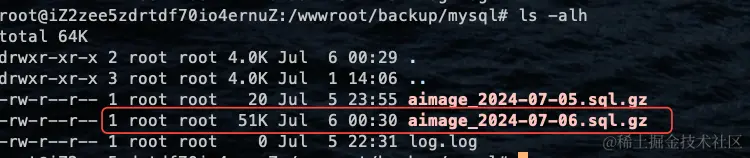 image-20240706003034789