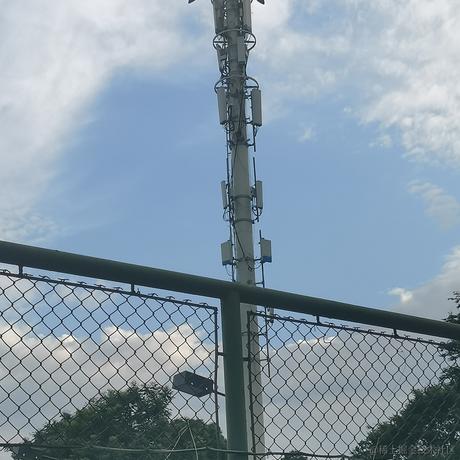 王痘痘于2023-07-06 21:40发布的图片