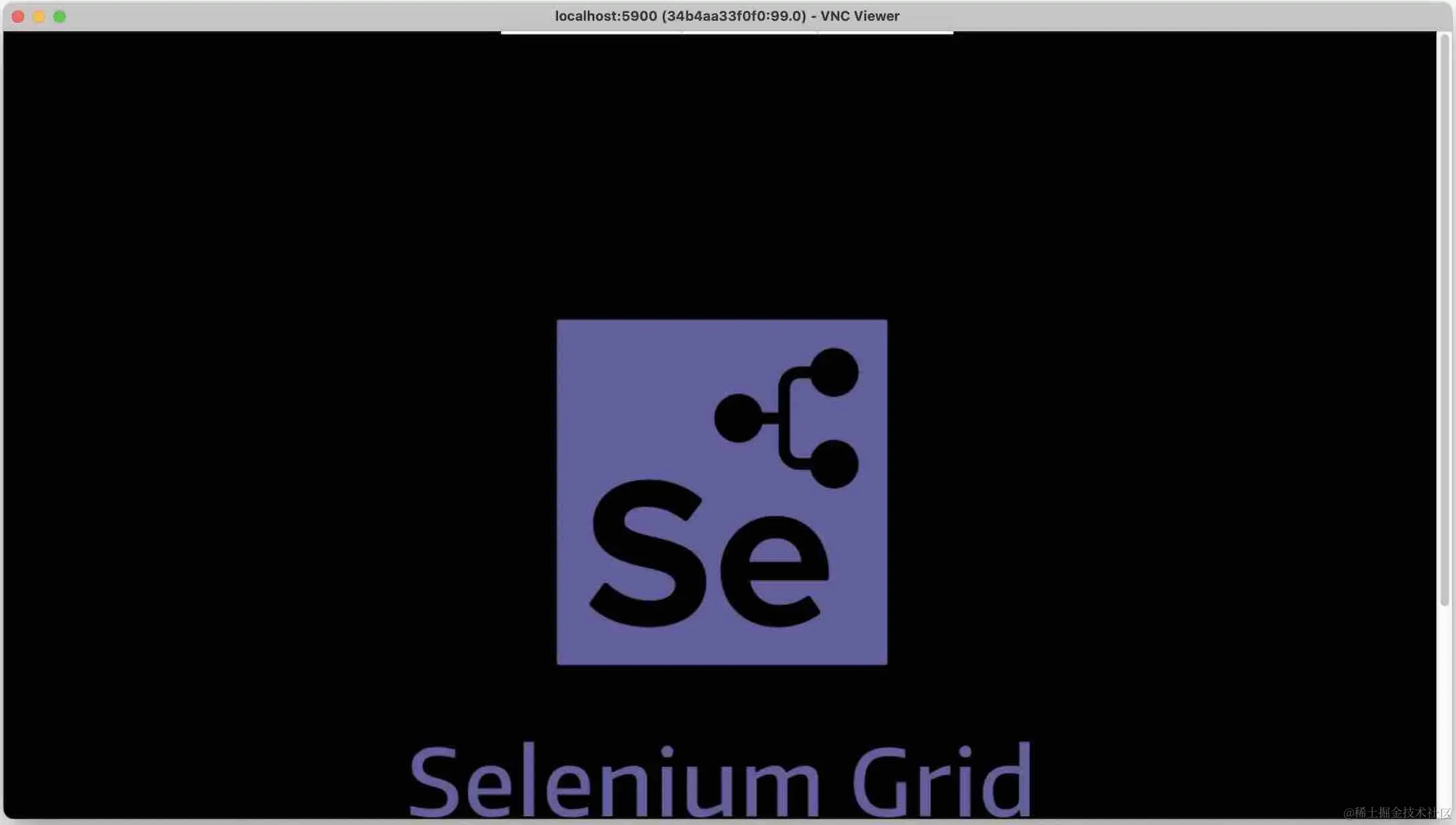 使用 VNC Viewer 查看 Selenium Grid 运行桌面