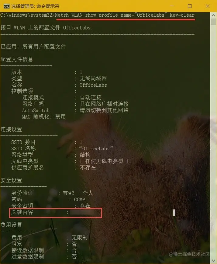 查看WIFI配置文件中的密钥