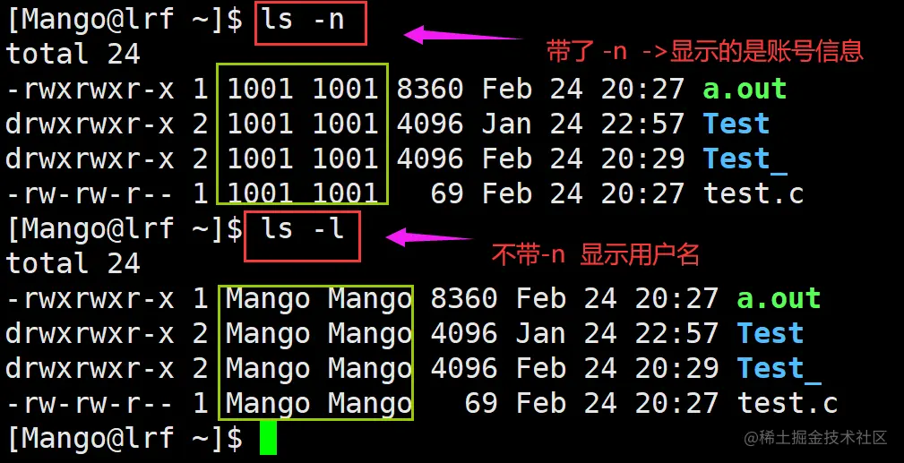 image-20220224204008719