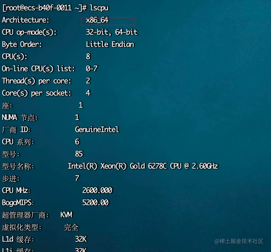 image-20230711102459841