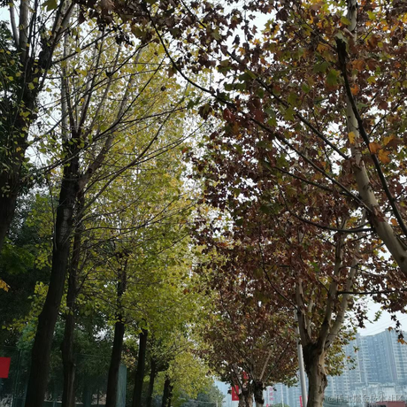 来吃红烧肉于2022-11-18 15:28发布的图片