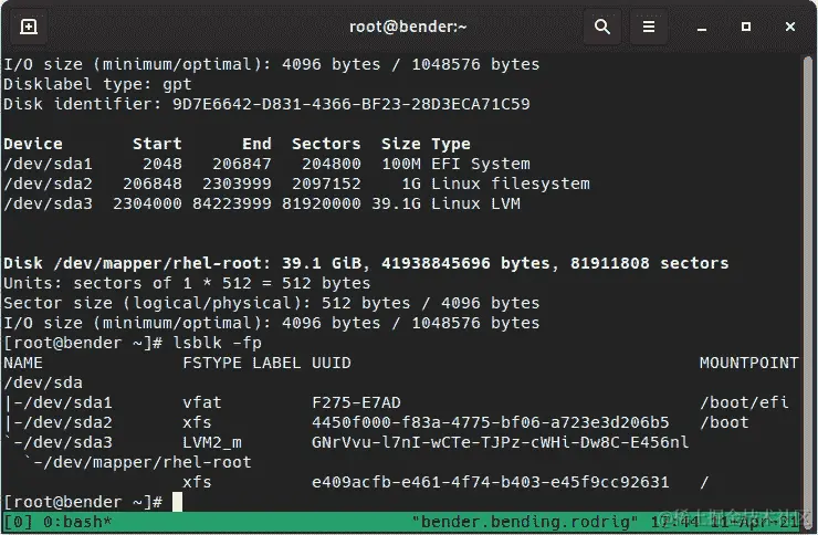 图 12.1 – lsblk-fp 和 fdisk –l 输出