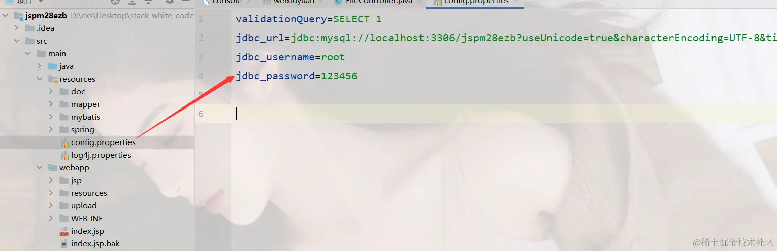 image-20240305112225146