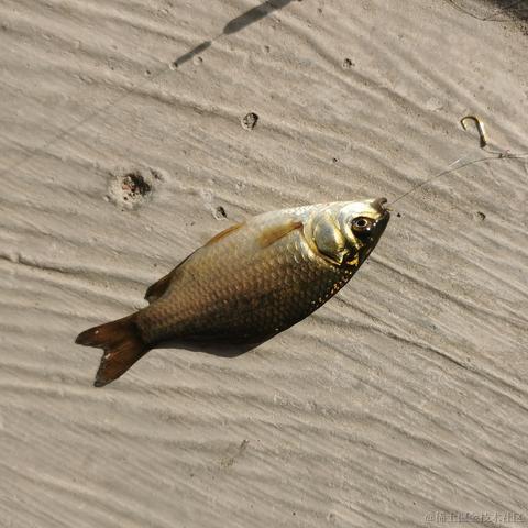 石榴在春天于2022-04-03 19:18发布的图片