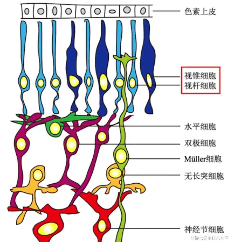 image-20240107104127093