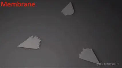 细胞膜生长模拟分解 - 瑞云渲染