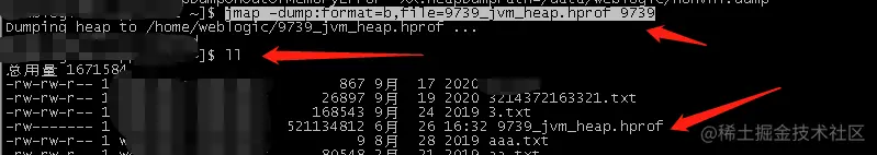 9739_jvm_heap.hprof 文件