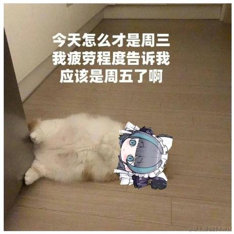 则则于2023-10-11 15:18发布的图片