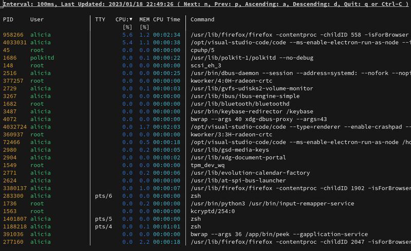 procs-example-usage（程序示例用法）