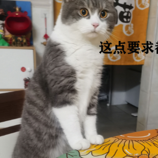 偷偷偷偷偷偷偷偷偷偷偷偷偷偷偷偷偷偷偷偷于2023-07-10 16:31发布的图片