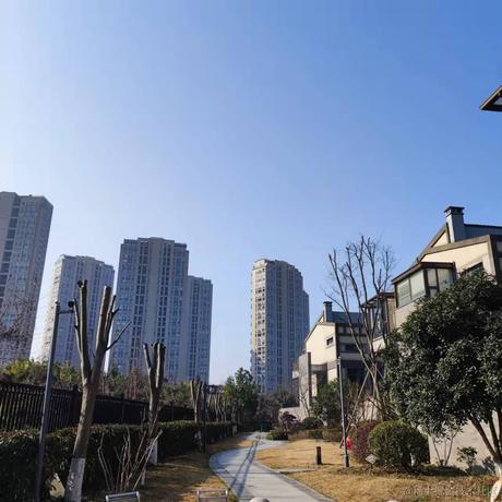 莱斯2022于2022-02-25 09:47发布的图片